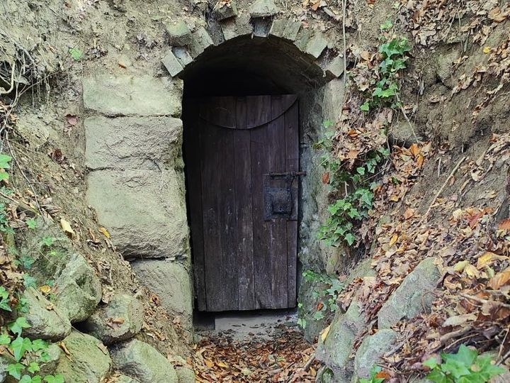 Alte Holztür in einem Sandsteinstollen, Eingang zu einer Trinkwasserfassung